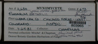 Image Associated With the Occurence